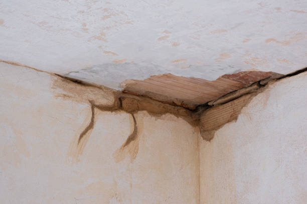 Best Water damage restoration experts  in Gardner, KS