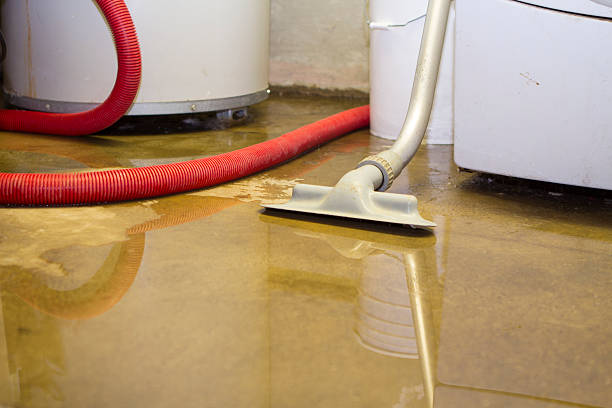 Best Sewage cleanup and water damage restoration  in Gardner, KS